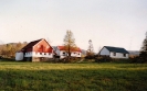 Skipevåg 1984